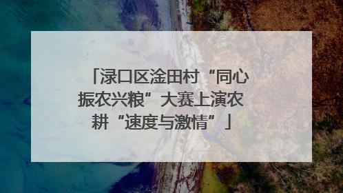渌口区淦田村“同心振农兴粮”大赛上演农耕“速度与激情”